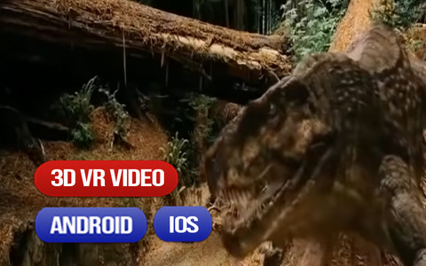 Amazing 3D VR Effects